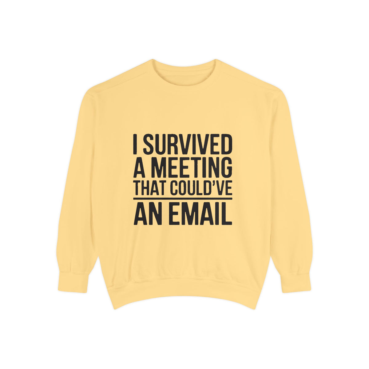 I Survived A Meeting That Could've Been An Email Sweatshirt, Funny Office Crewneck, Sarcastic Coworker Gift, Corporate Humor Sweater
