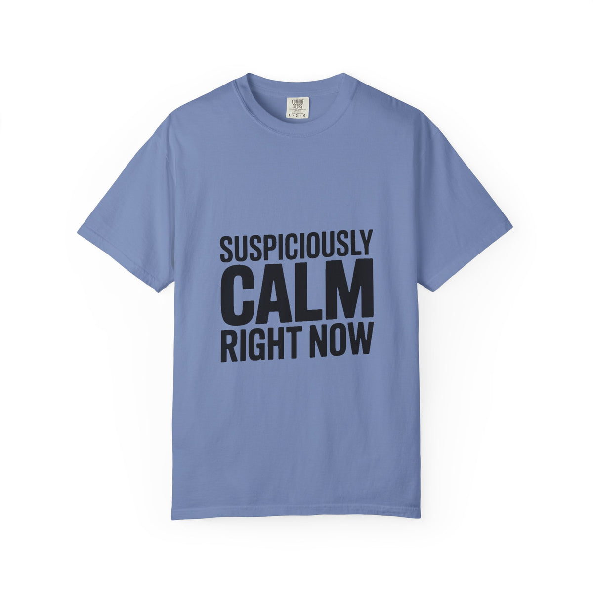 Suspiciously Calm Right Now Shirt, Funny Sarcastic T-Shirt, Bold Typography Tee, Anxiety Humor Shirt, Sarcastic Gift for Him Her