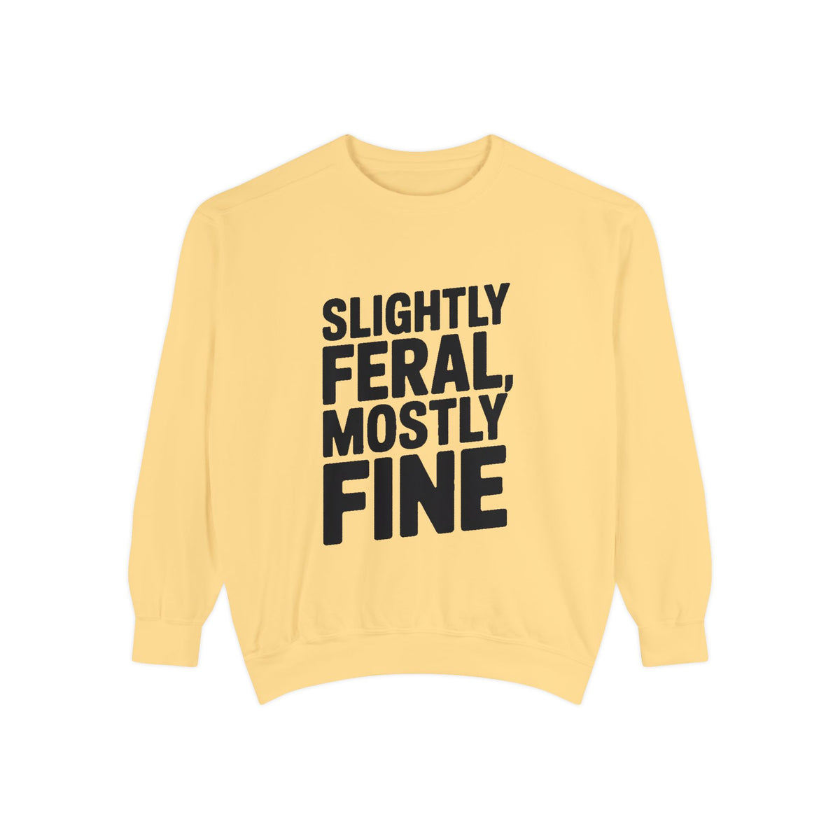 Slightly Feral Mostly Fine Sweatshirt, Funny Embroidered Crewneck, Sarcastic Quote Sweatshirt, Minimalist Text Gift for Her