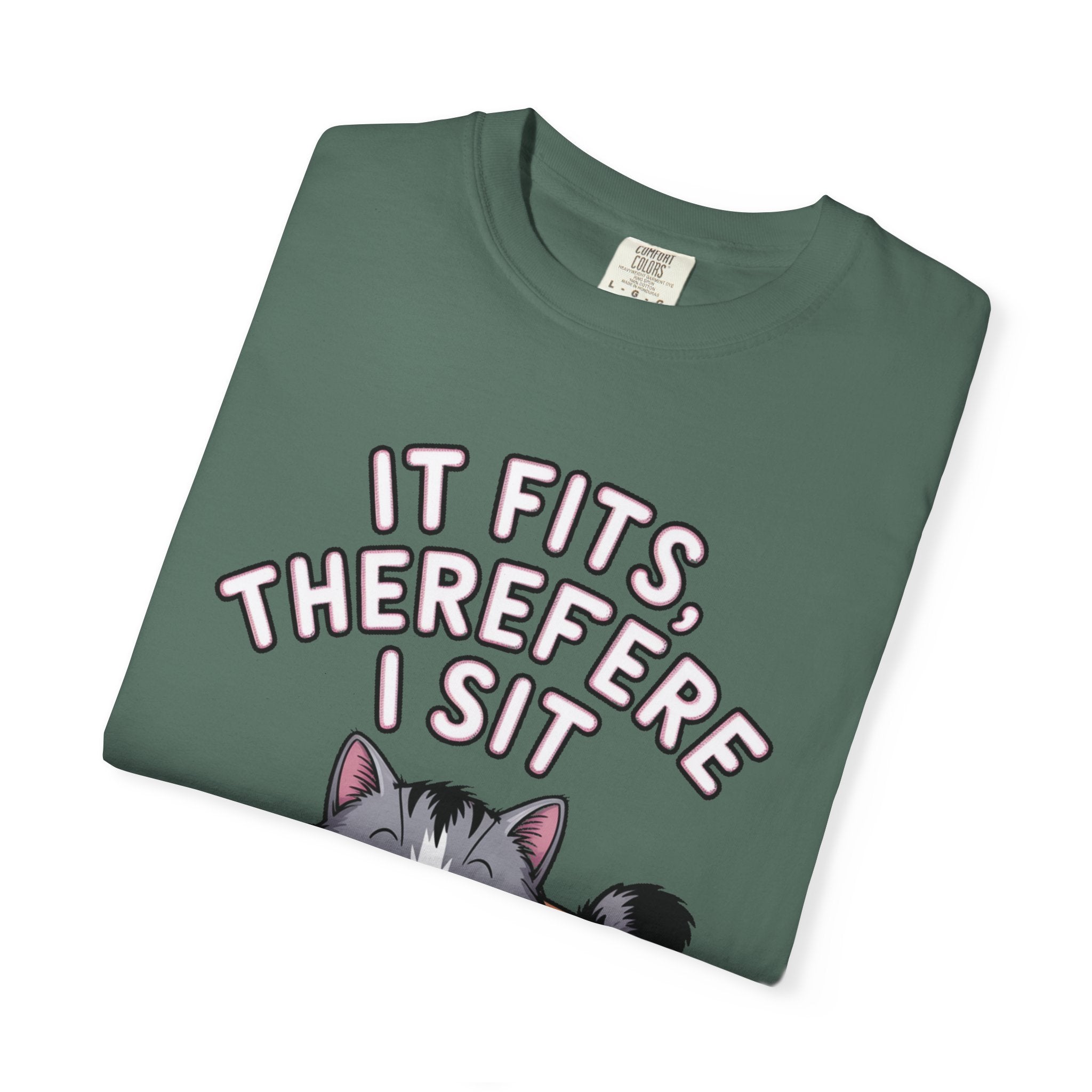 It Fits Therefore I Sit Cat Shirt, Funny Cat In Box T-Shirt, Cute Chubby Cat Lover Gift, Cat Owner Shirt, Funny Cat Meme Tee