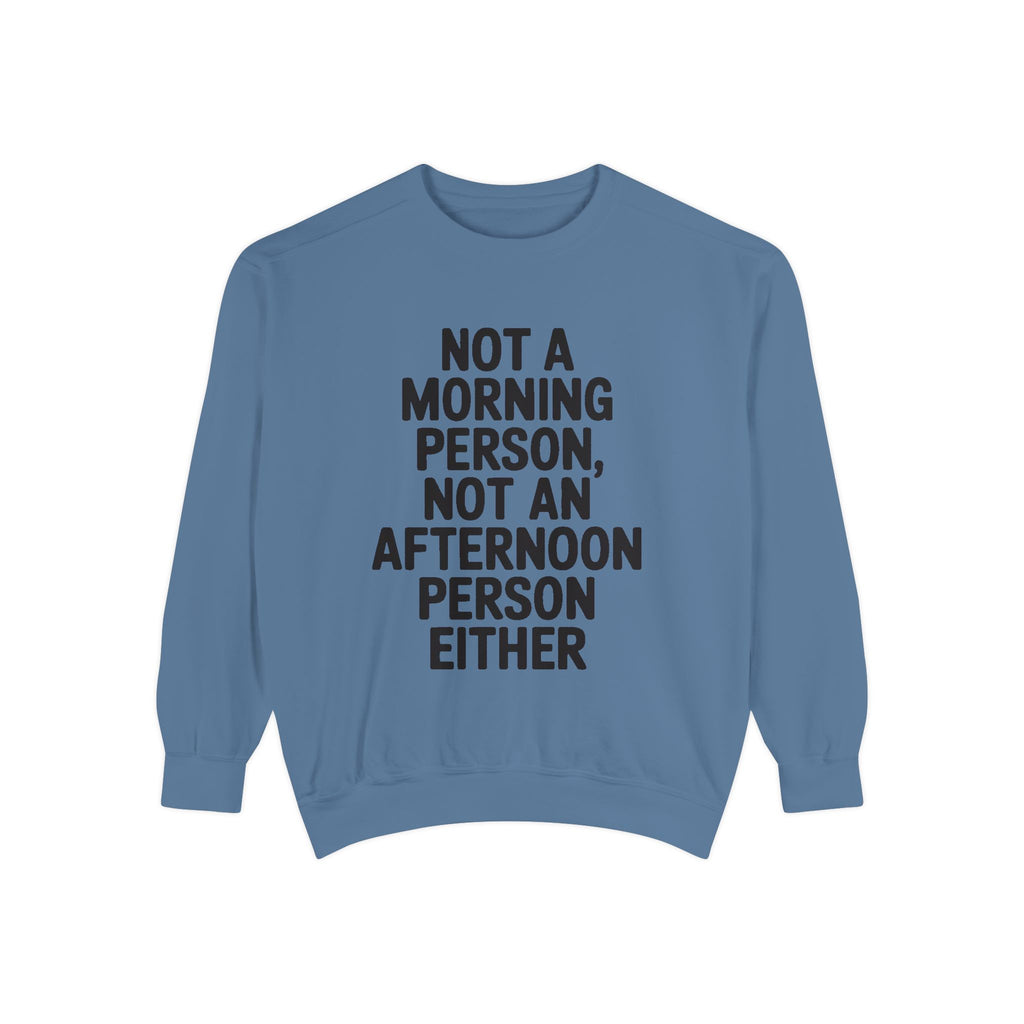 Not A Morning Person Sweatshirt, Funny Sarcastic Crewneck, Anti Morning Afternoon Person Shirt, Introvert Humor Gift