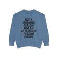 Not A Morning Person Sweatshirt, Funny Sarcastic Crewneck, Anti Morning Afternoon Person Shirt, Introvert Humor Gift