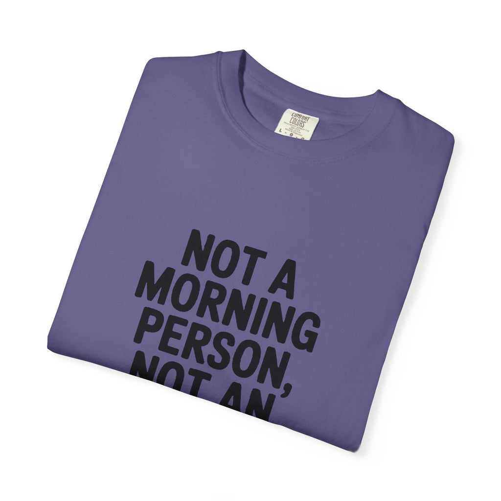 Not A Morning Person Shirt, Funny Sarcastic T-Shirt, Not An Afternoon Person Either Tee, Anti Social Gift