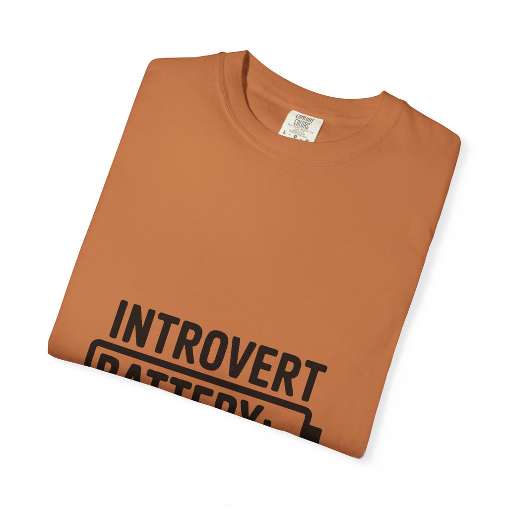 Introvert Battery Low Shirt, Funny Introvert Battery 12% Tee, Social Anxiety Humor T-Shirt, Sarcastic Gift for Introverts