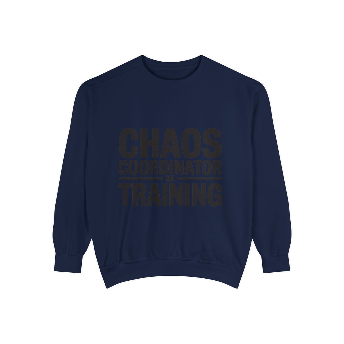 Chaos Coordinator In Training Sweatshirt, Funny Mom Crewneck, Embroidered Style Bold Text Sweatshirt, Teacher Nurse Gift