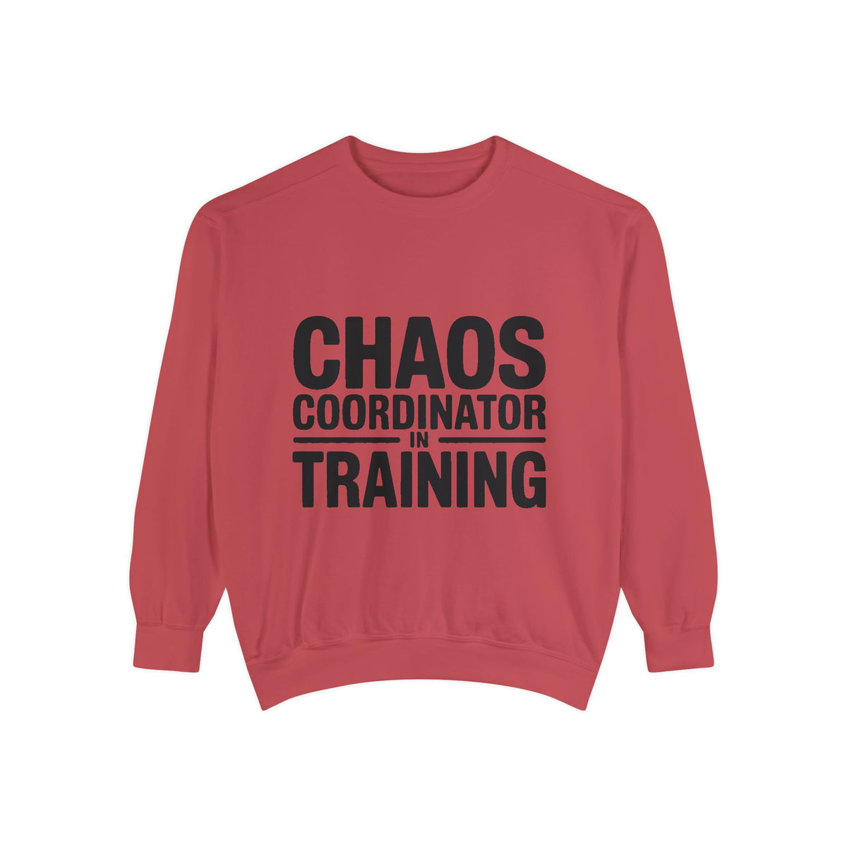 Chaos Coordinator In Training Sweatshirt, Funny Mom Crewneck, Embroidered Style Bold Text Sweatshirt, Teacher Nurse Gift