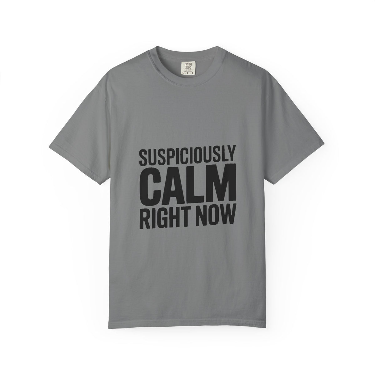 Suspiciously Calm Right Now Shirt, Funny Sarcastic T-Shirt, Bold Typography Tee, Anxiety Humor Shirt, Sarcastic Gift for Him Her