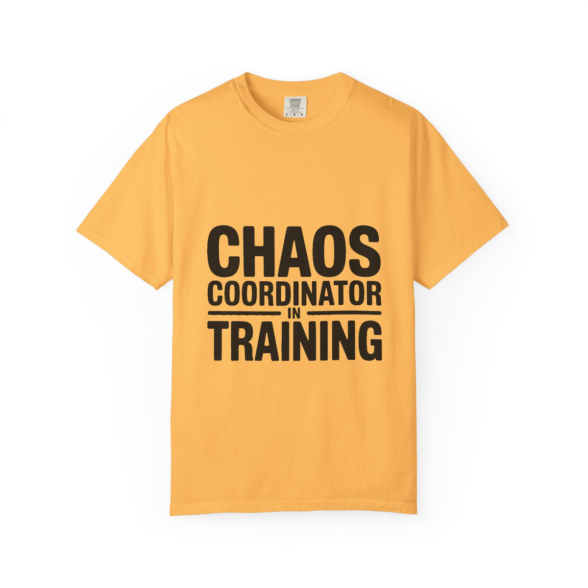 Chaos Coordinator In Training Shirt, Funny Bold Typography Tee, Sarcastic Mom Life T-Shirt, Gift for New Parents or Teachers