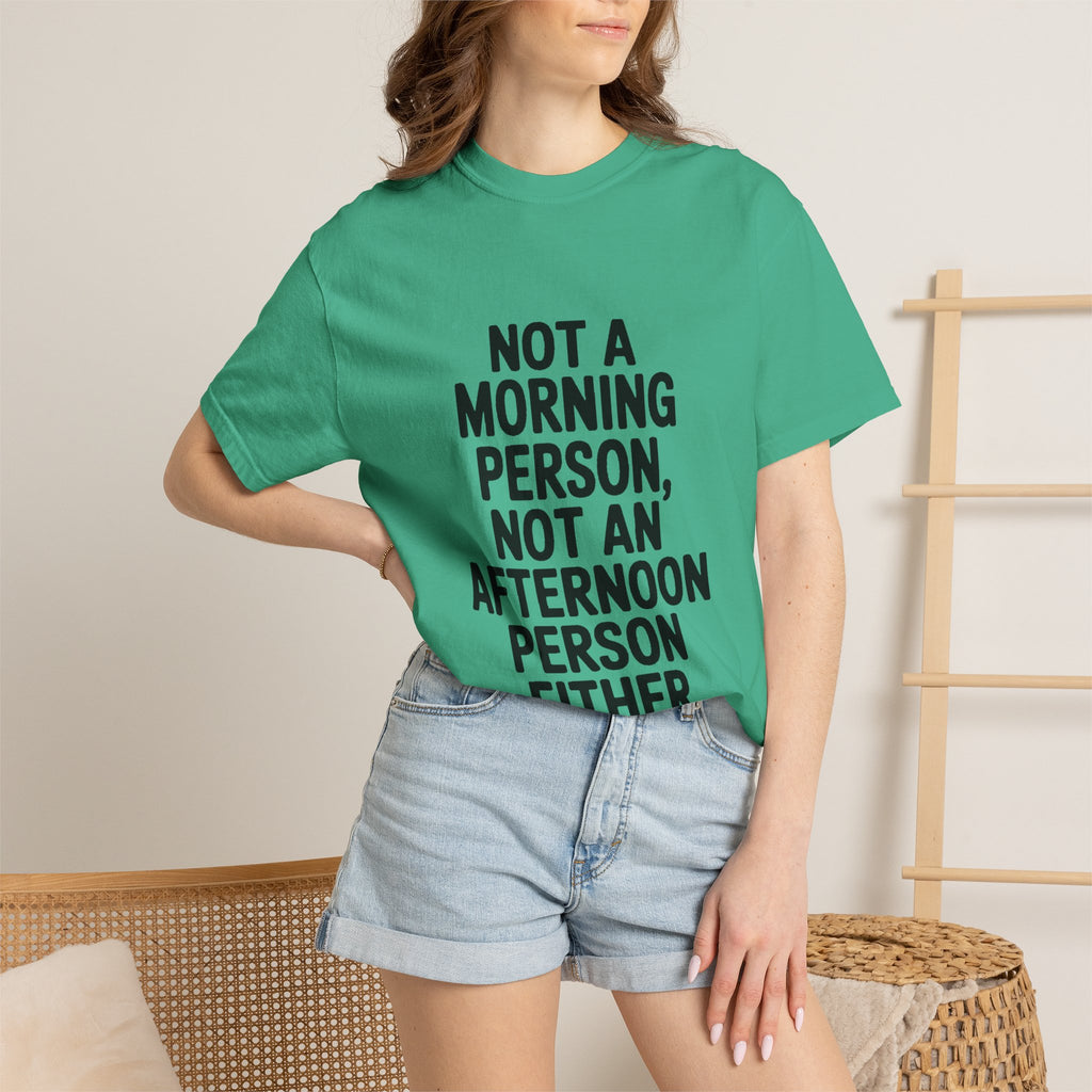 Not A Morning Person Shirt, Funny Sarcastic T-Shirt, Not An Afternoon Person Either Tee, Anti Social Gift