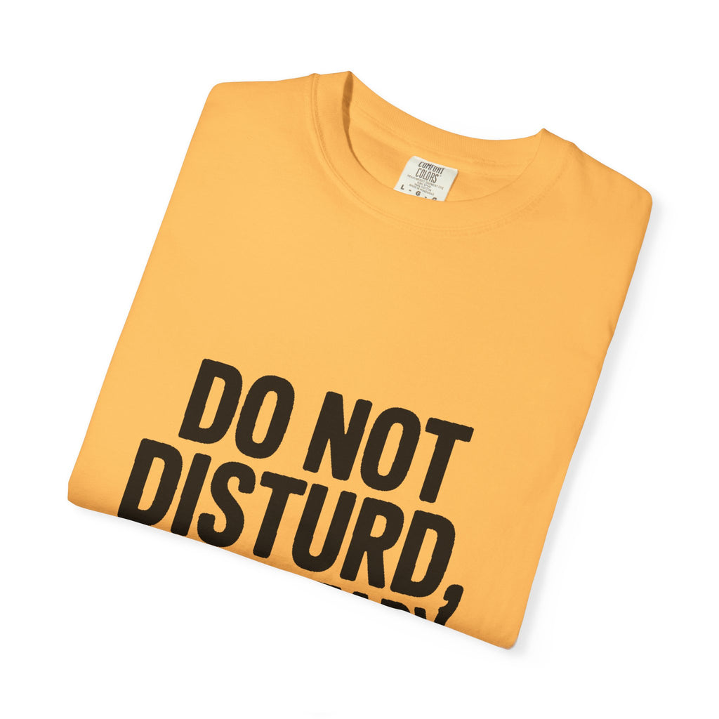 Do Not Disturb Already Disturbed Shirt, Funny Sarcastic T-Shirt, Introvert Humor Tee, Weird Mood Gift
