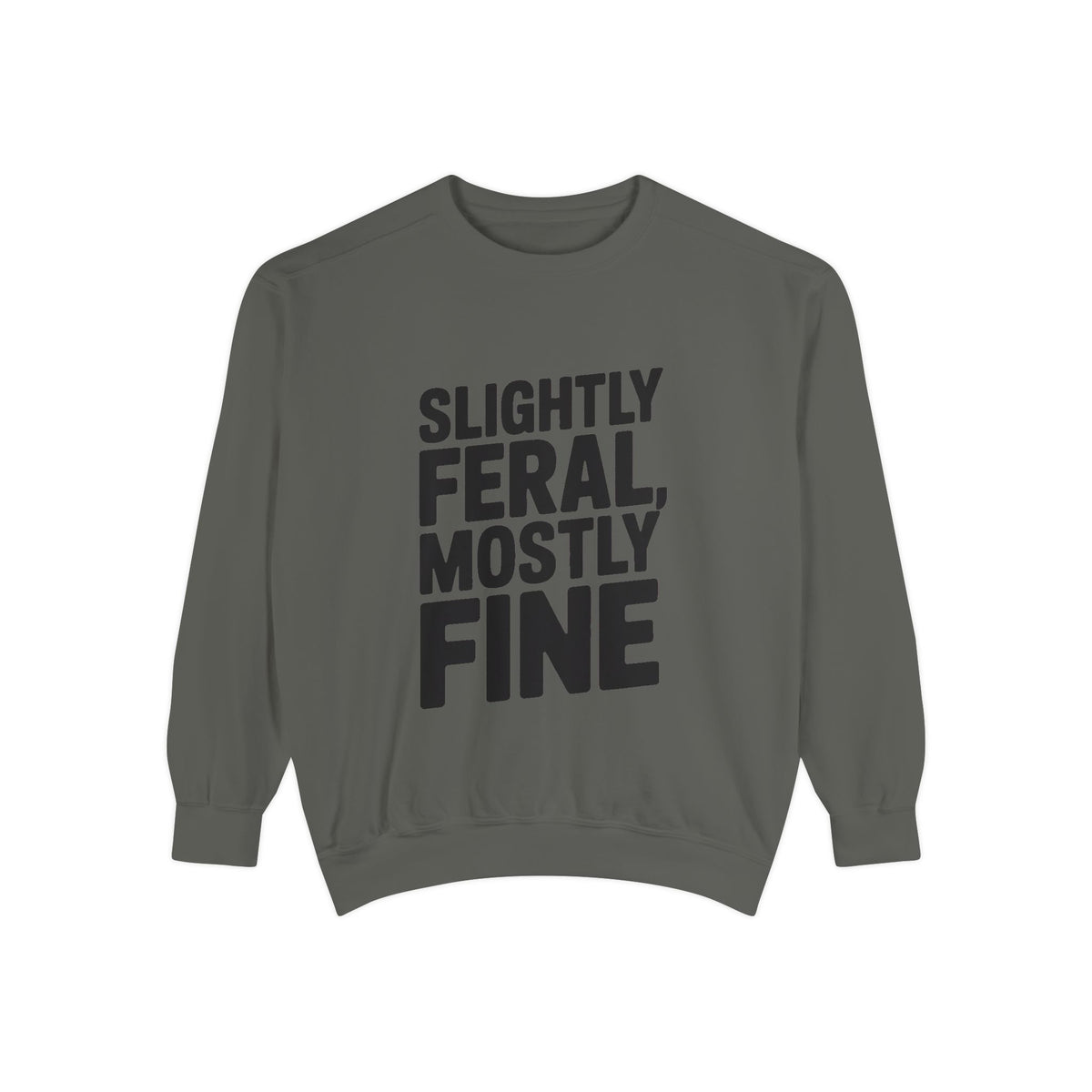 Slightly Feral Mostly Fine Sweatshirt, Funny Embroidered Crewneck, Sarcastic Quote Sweatshirt, Minimalist Text Gift for Her