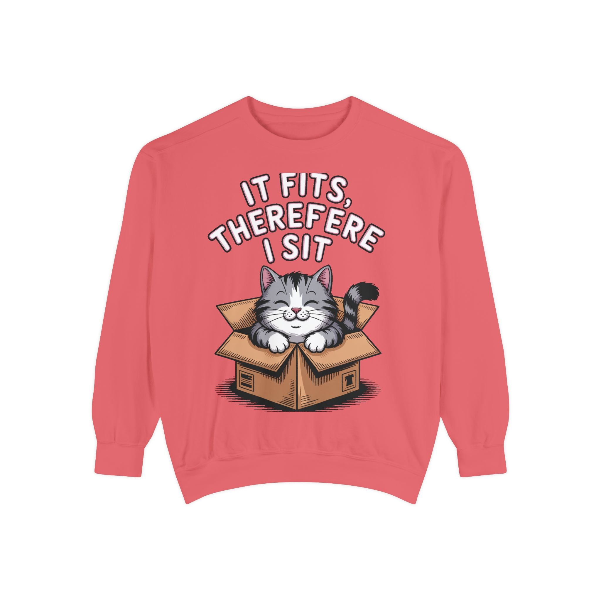 Funny Cat Sweatshirt, It Fits Therefore I Sit Crewneck, Cat In Box Embroidered Sweatshirt, Cat Lover Gift, Funny Cat Lover Sweater