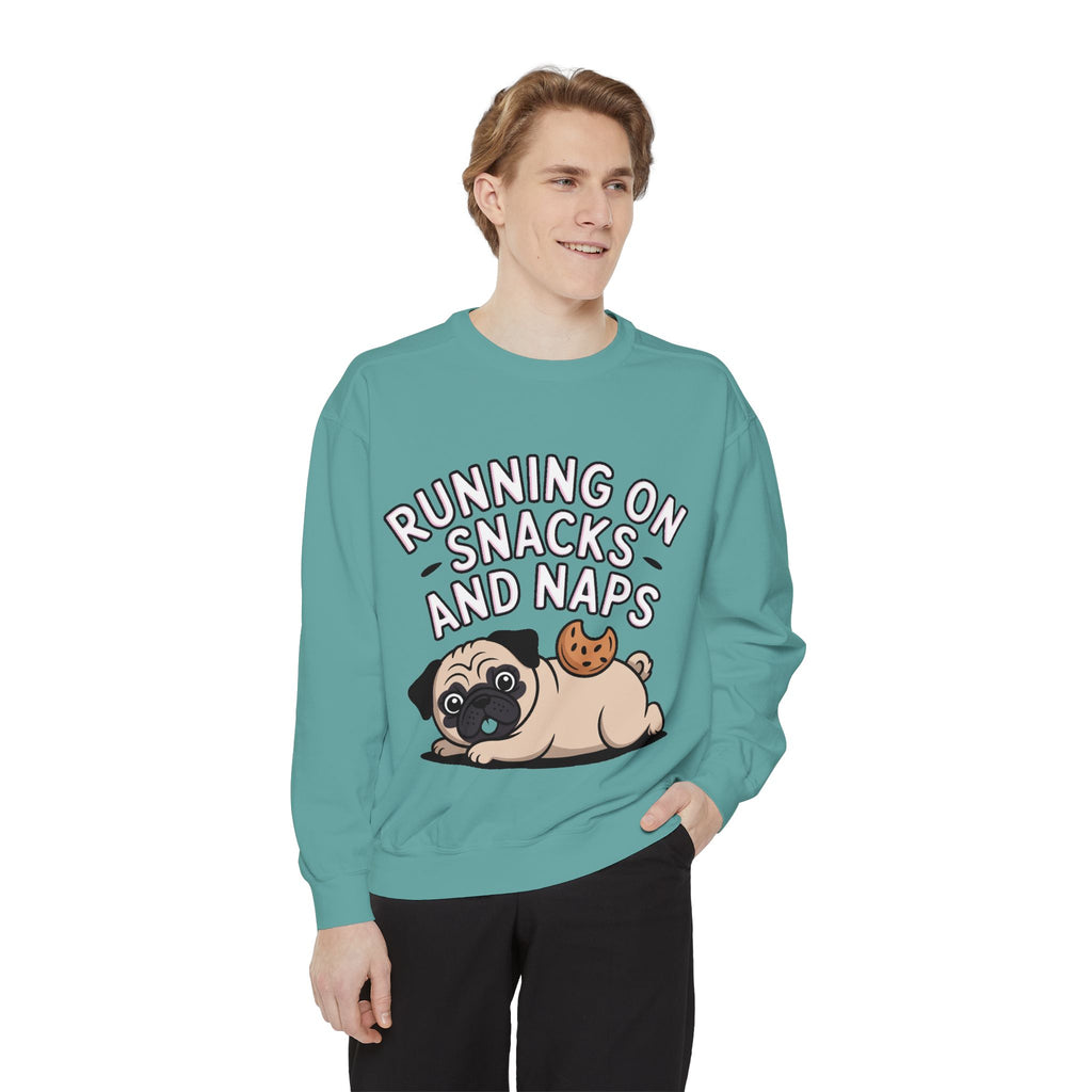 Pug Sweatshirt, Funny Running On Snacks And Naps Crewneck, Cute Pug Lover Gift, Embroidered Patch Style Dog Sweater