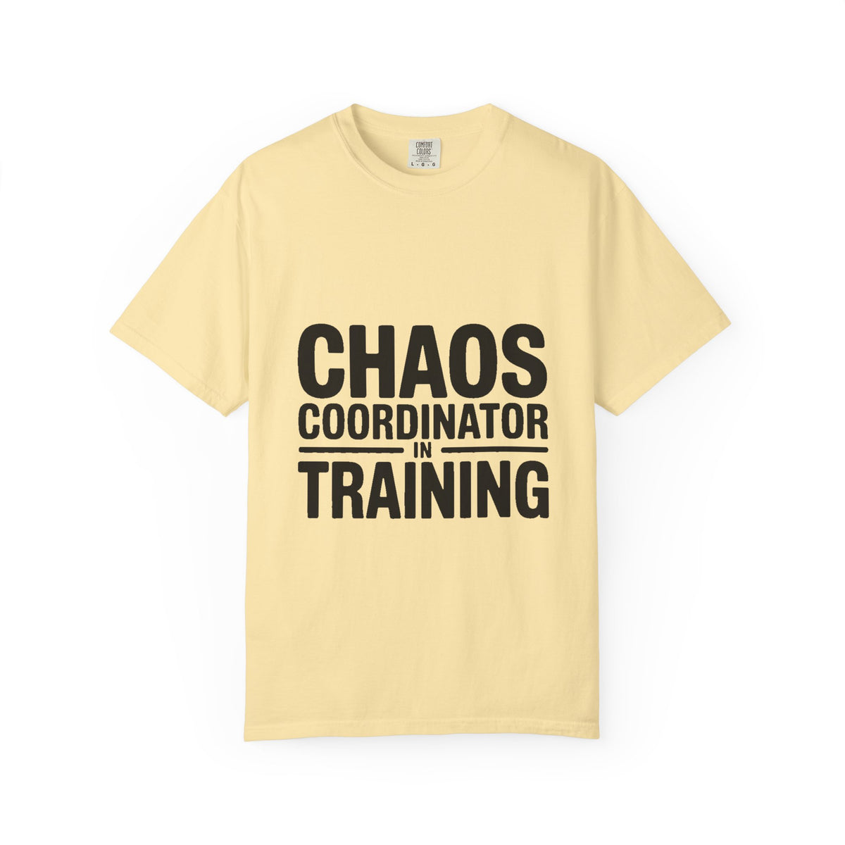 Chaos Coordinator In Training Shirt, Funny Bold Typography Tee, Sarcastic Mom Life T-Shirt, Gift for New Parents or Teachers