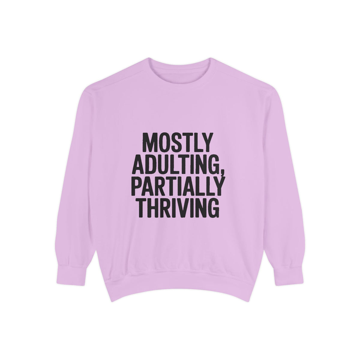Mostly Adulting Partially Thriving Sweatshirt, Funny Embroidered Crewneck, Sarcastic Adult Life Sweatshirt, Trendy Minimalist Gift