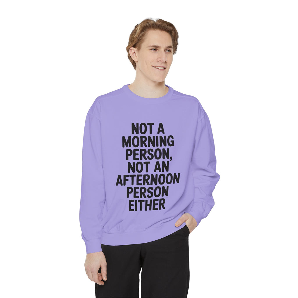 Not A Morning Person Sweatshirt, Funny Sarcastic Crewneck, Anti Morning Afternoon Person Shirt, Introvert Humor Gift