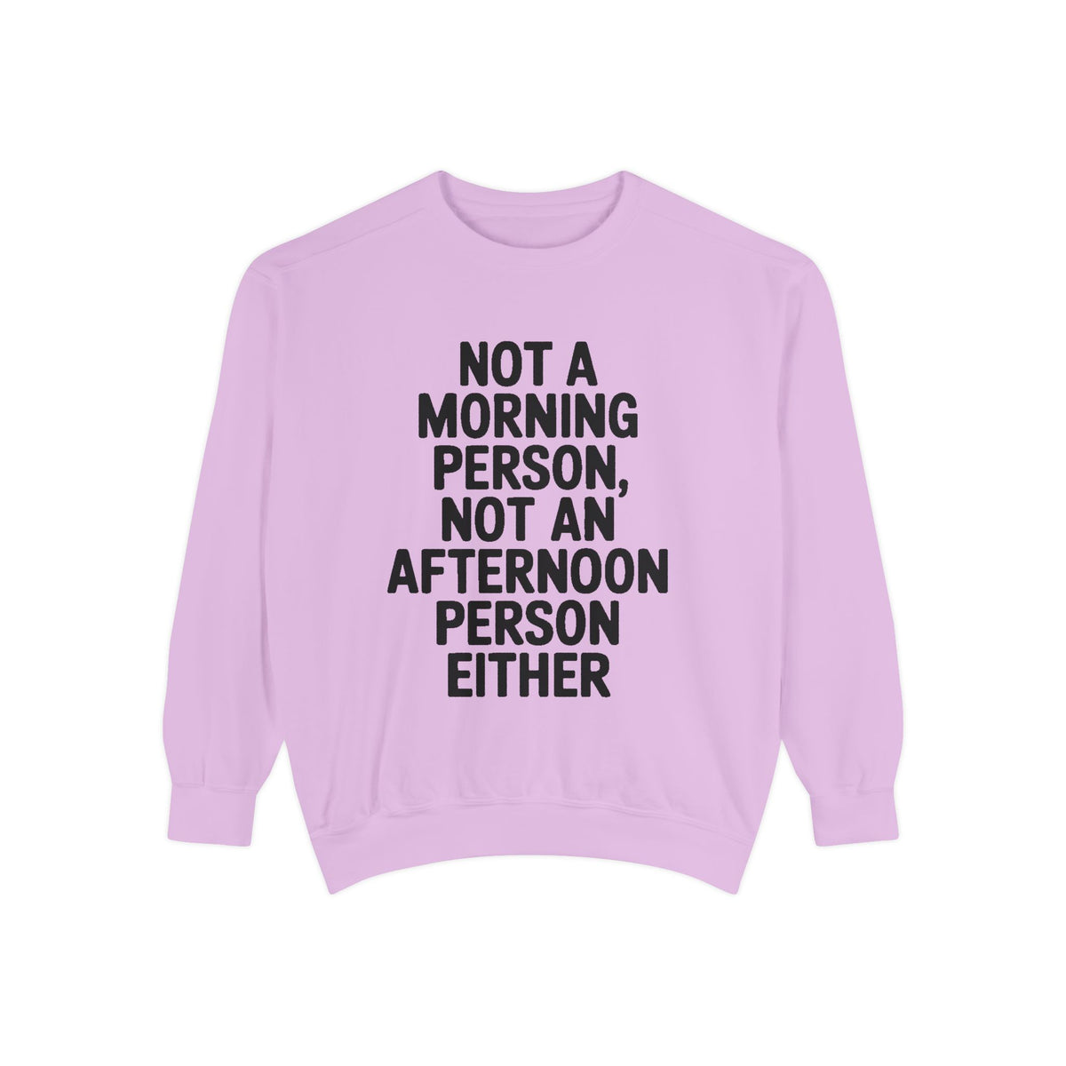 Not A Morning Person Sweatshirt, Funny Sarcastic Crewneck, Anti Morning Afternoon Person Shirt, Introvert Humor Gift