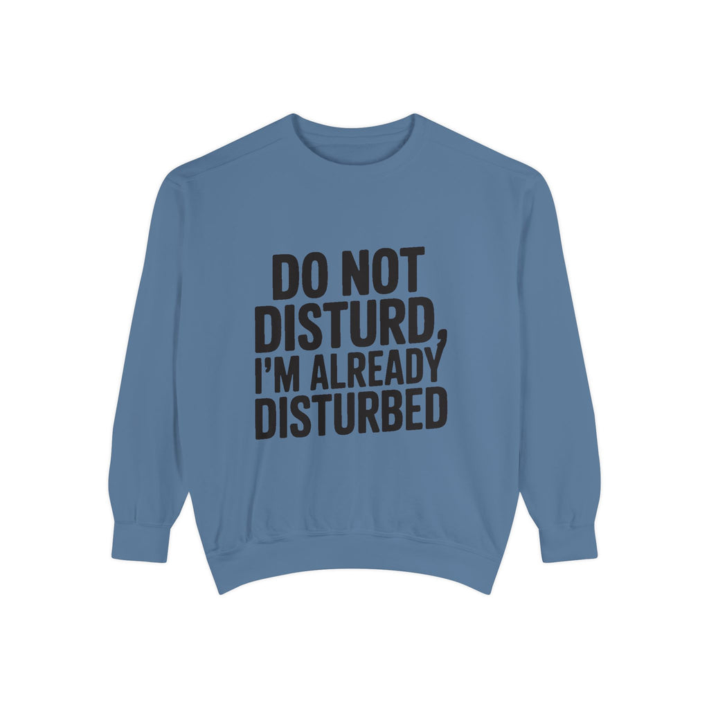 Do Not Disturb Already Disturbed Sweatshirt, Funny Sarcastic Crewneck, Embroidered Patch Style Pullover, Introvert Gift