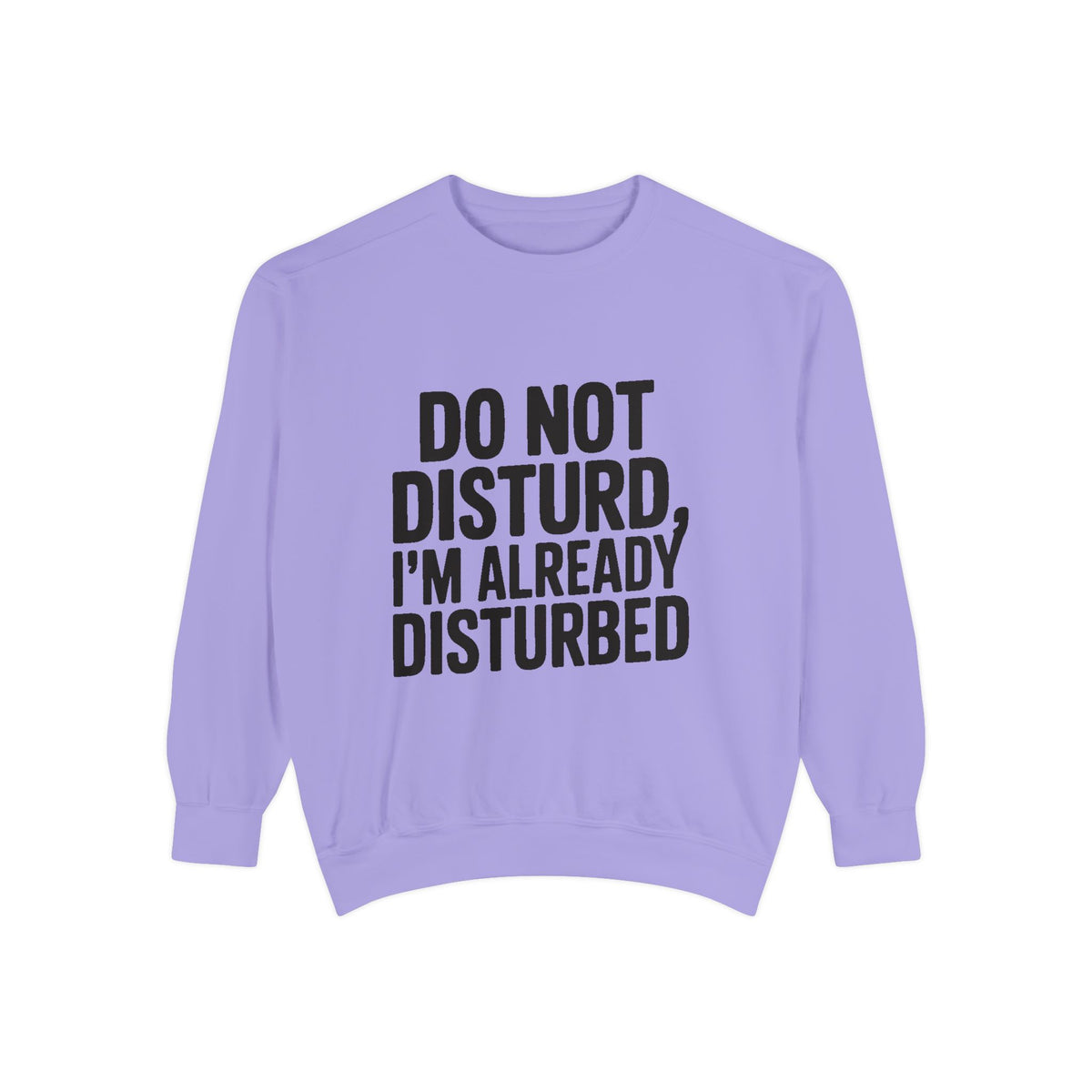 Do Not Disturb Already Disturbed Sweatshirt, Funny Sarcastic Crewneck, Embroidered Patch Style Pullover, Introvert Gift