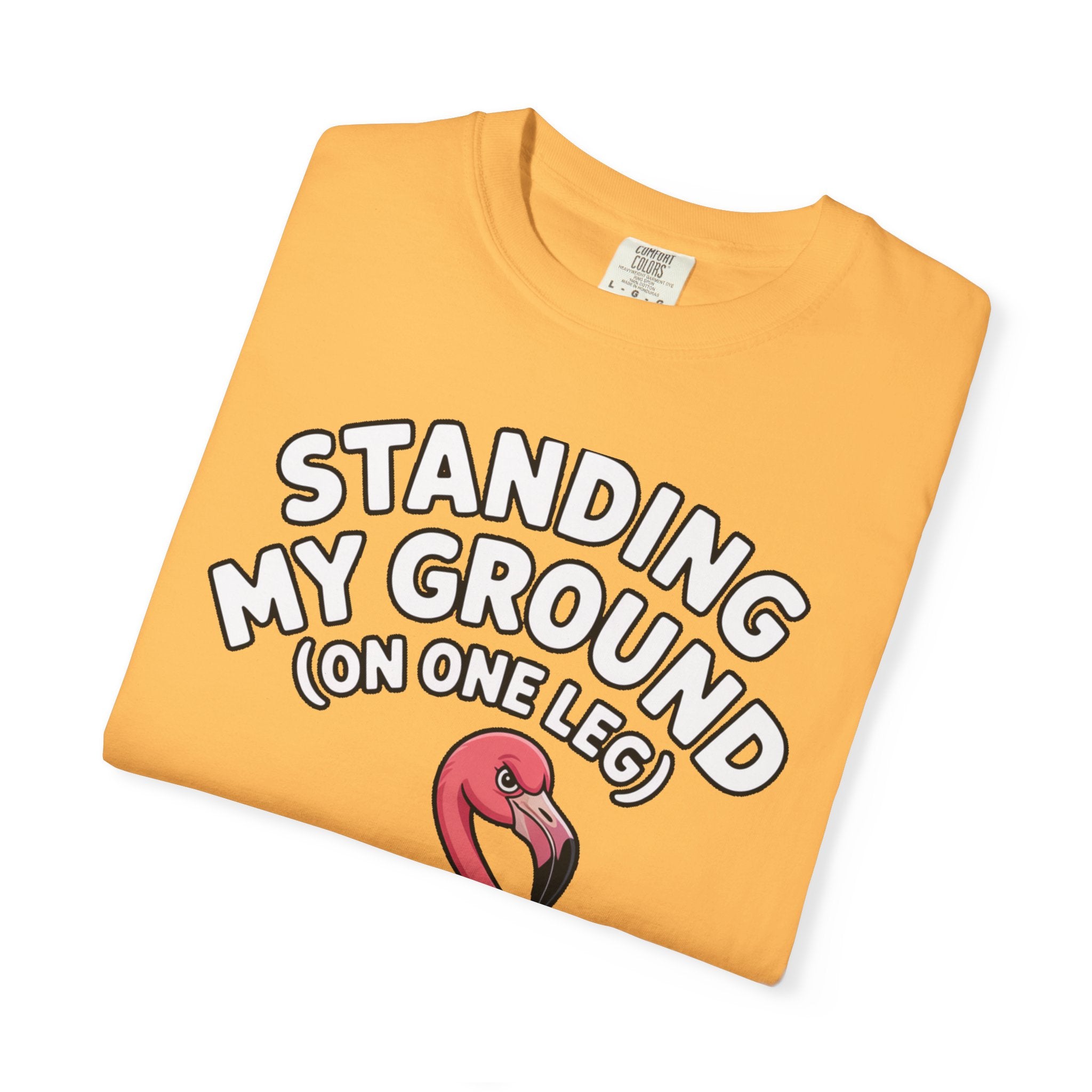 Standing My Ground Flamingo Shirt, Funny One Leg Flamingo T-Shirt, Sassy Bird Lover Gift, Cute Cartoon Flamingo Tee