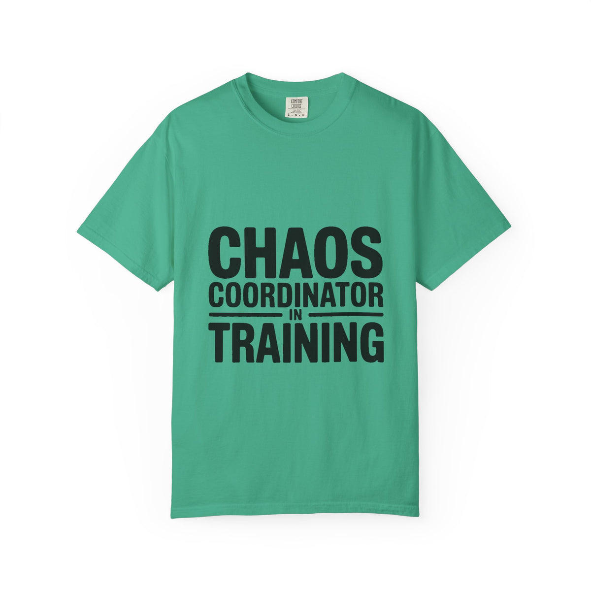Chaos Coordinator In Training Shirt, Funny Bold Typography Tee, Sarcastic Mom Life T-Shirt, Gift for New Parents or Teachers