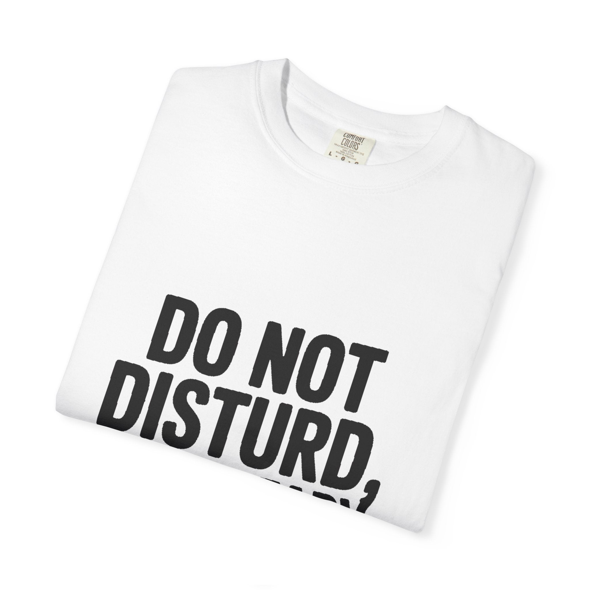 Do Not Disturb Already Disturbed Shirt, Funny Sarcastic T-Shirt, Introvert Humor Tee, Weird Mood Gift