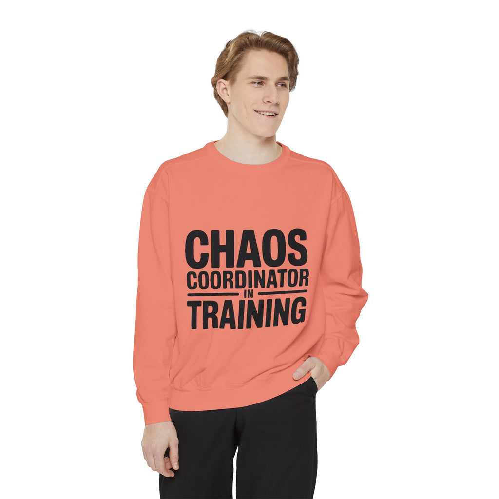 Chaos Coordinator In Training Sweatshirt, Funny Mom Crewneck, Embroidered Style Bold Text Sweatshirt, Teacher Nurse Gift