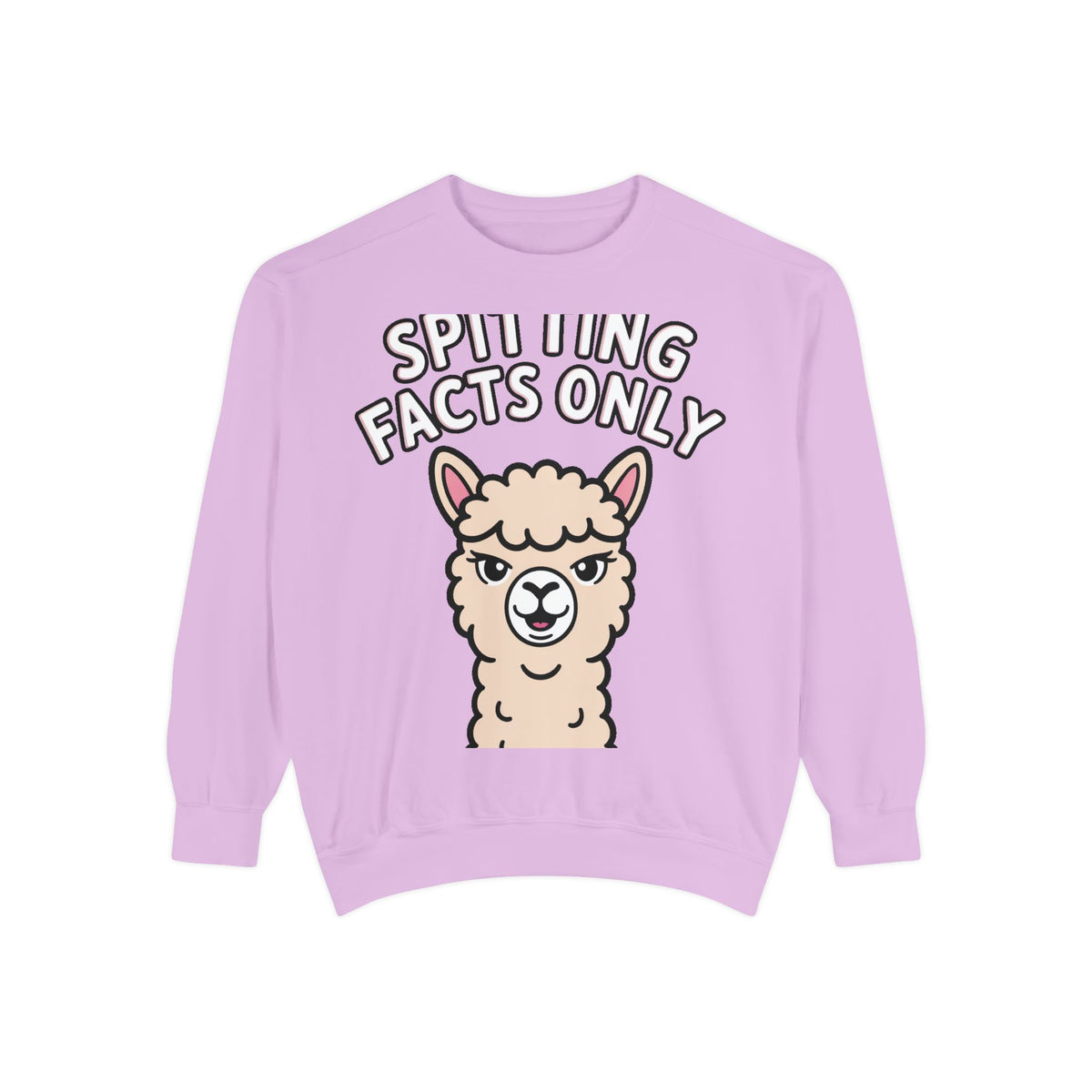 Alpaca Spitting Facts Sweatshirt, Funny Sassy Alpaca Crewneck, Cute Embroidered-Style Animal Sweatshirt, Alpaca Lover Gift