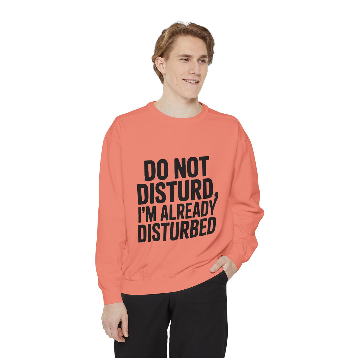 Do Not Disturb Already Disturbed Sweatshirt, Funny Sarcastic Crewneck, Embroidered Patch Style Pullover, Introvert Gift