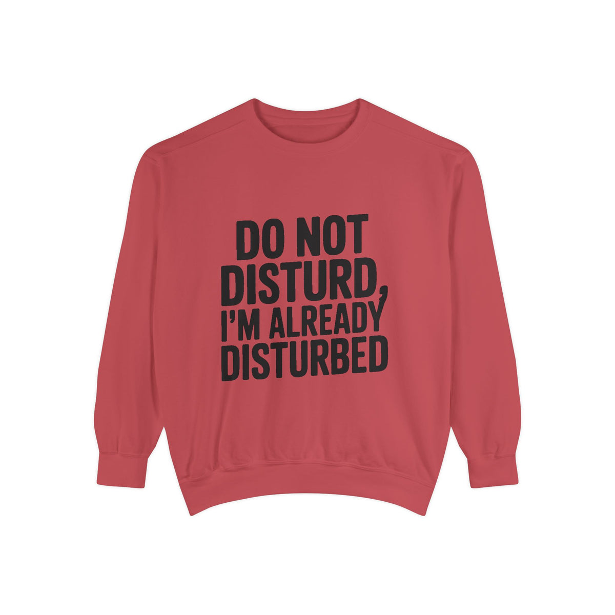 Do Not Disturb Already Disturbed Sweatshirt, Funny Sarcastic Crewneck, Embroidered Patch Style Pullover, Introvert Gift