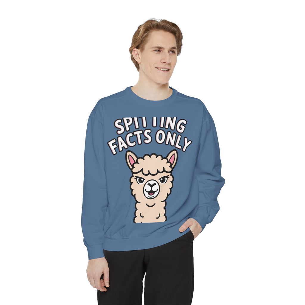 Alpaca Spitting Facts Sweatshirt, Funny Sassy Alpaca Crewneck, Cute Embroidered-Style Animal Sweatshirt, Alpaca Lover Gift