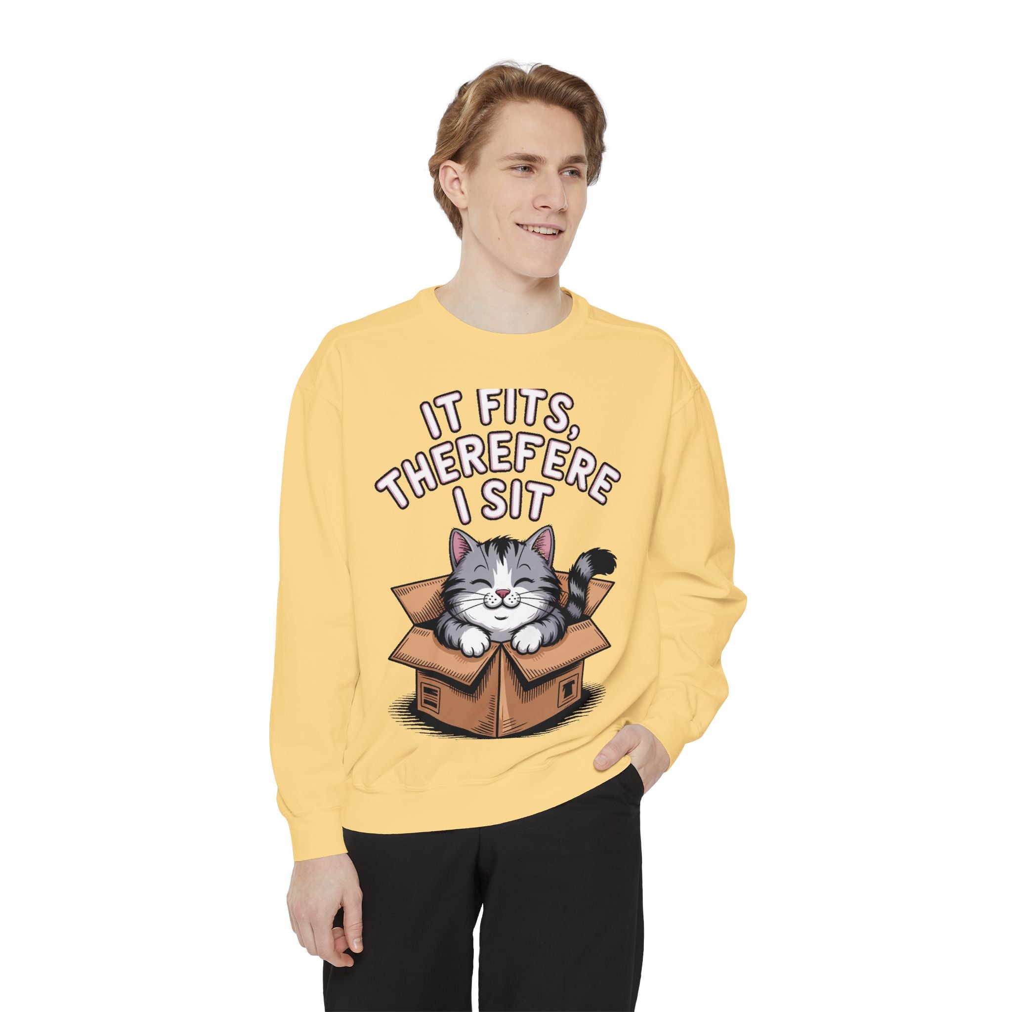 Funny Cat Sweatshirt, It Fits Therefore I Sit Crewneck, Cat In Box Embroidered Sweatshirt, Cat Lover Gift, Funny Cat Lover Sweater
