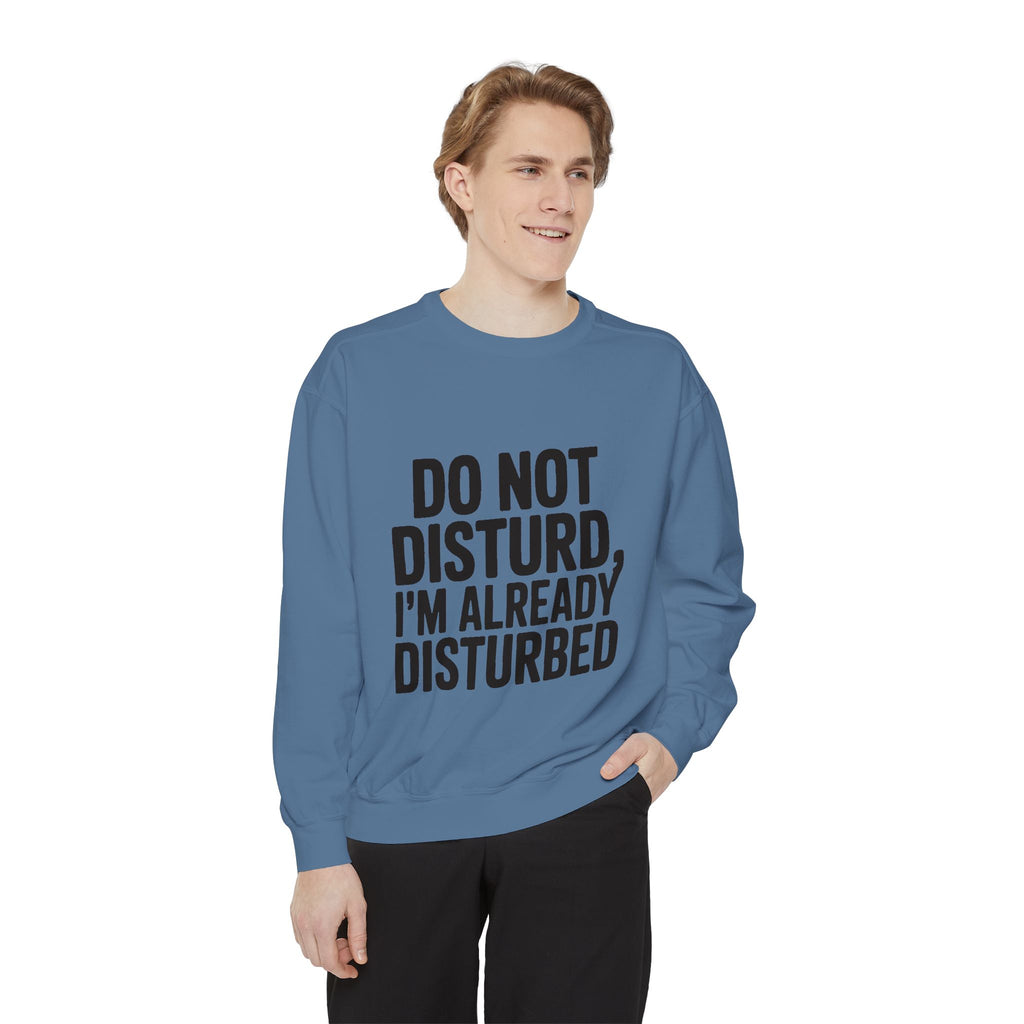 Do Not Disturb Already Disturbed Sweatshirt, Funny Sarcastic Crewneck, Embroidered Patch Style Pullover, Introvert Gift