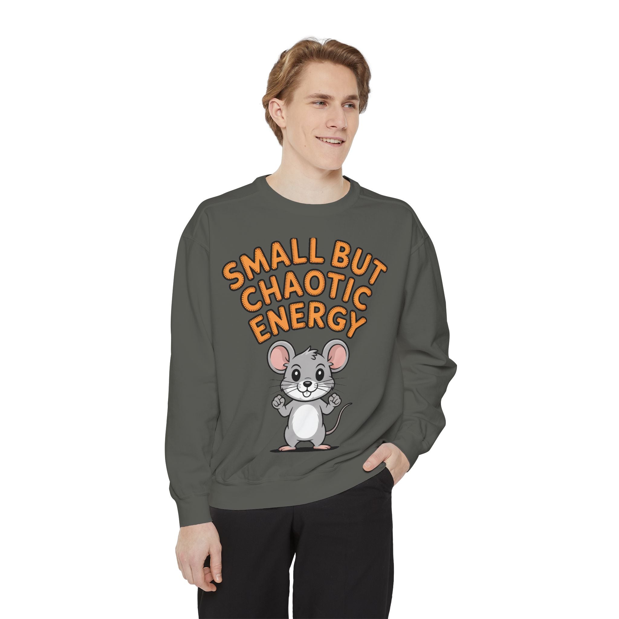 Small But Chaotic Energy Sweatshirt, Funny Mouse Crewneck, Cute Cartoon Mouse Sweatshirt, Embroidered Patch Style Gift