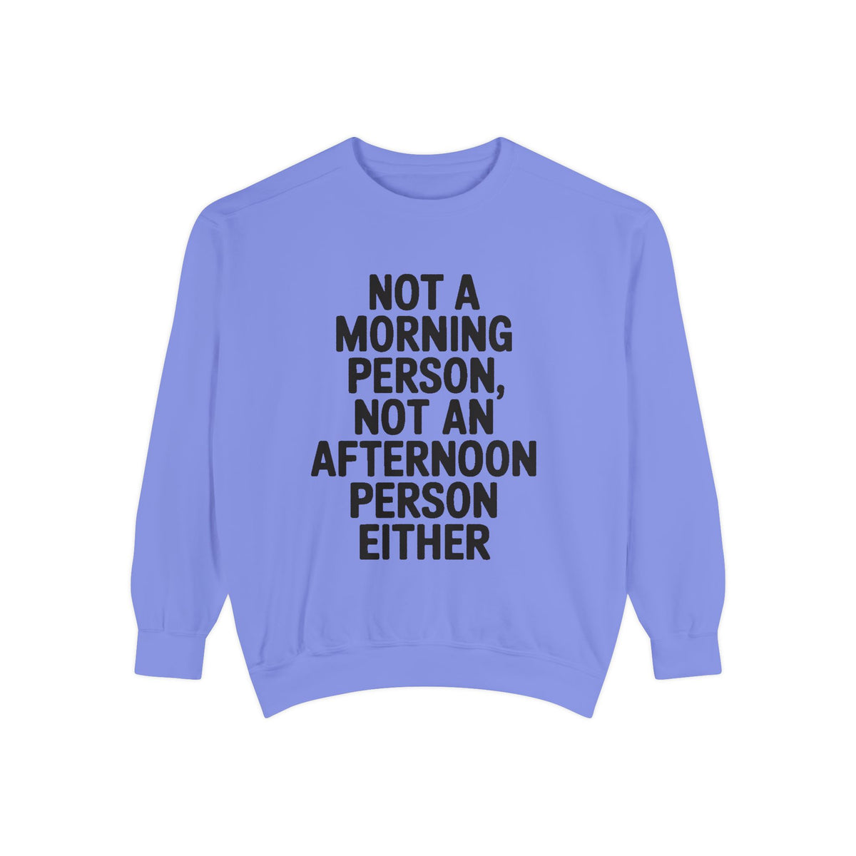 Not A Morning Person Sweatshirt, Funny Sarcastic Crewneck, Anti Morning Afternoon Person Shirt, Introvert Humor Gift