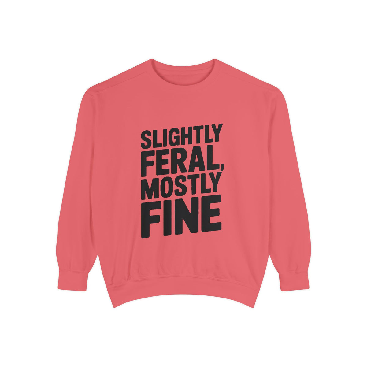 Slightly Feral Mostly Fine Sweatshirt, Funny Embroidered Crewneck, Sarcastic Quote Sweatshirt, Minimalist Text Gift for Her