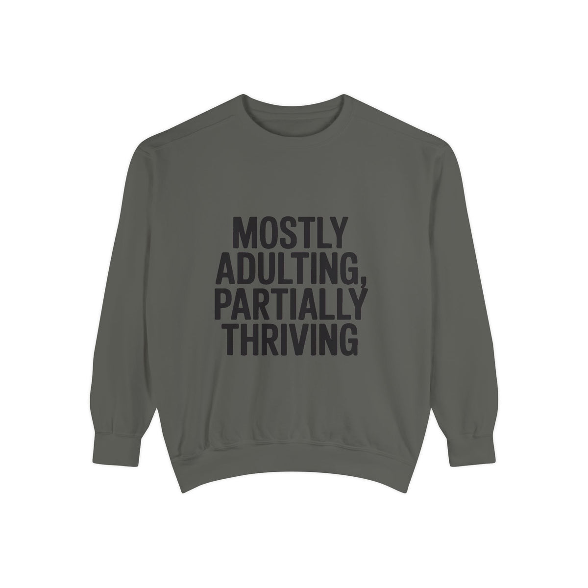 Mostly Adulting Partially Thriving Sweatshirt, Funny Embroidered Crewneck, Sarcastic Adult Life Sweatshirt, Trendy Minimalist Gift