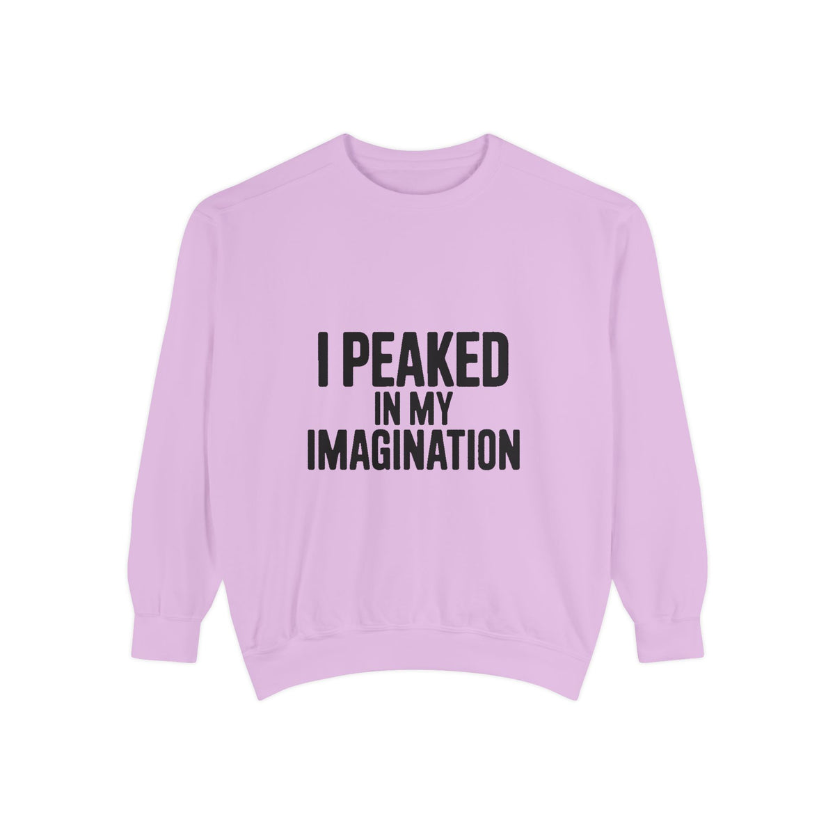 I Peaked In My Imagination Sweatshirt, Funny Sarcastic Crewneck, Bold Typography Embroidered Sweatshirt, Daydreamer Gift