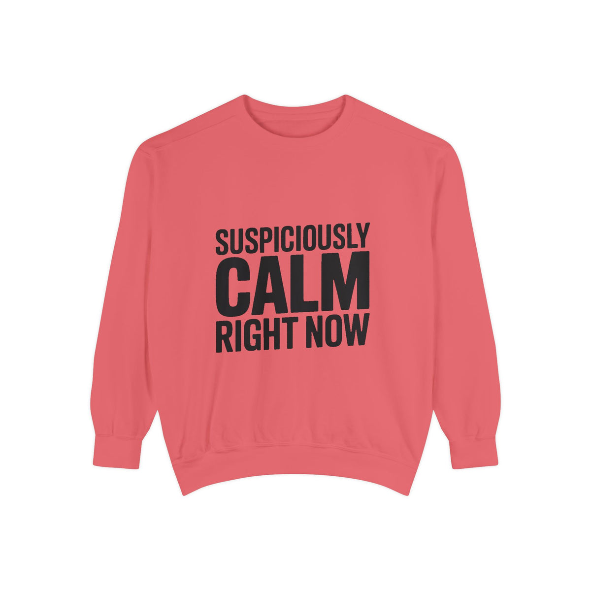 Suspiciously Calm Right Now Sweatshirt, Funny Sarcastic Crewneck, Bold Text Embroidered Patch Style Pullover, Sarcasm Gift