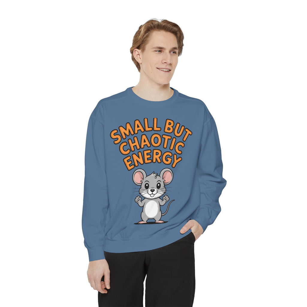 Small But Chaotic Energy Sweatshirt, Funny Mouse Crewneck, Cute Cartoon Mouse Sweatshirt, Embroidered Patch Style Gift