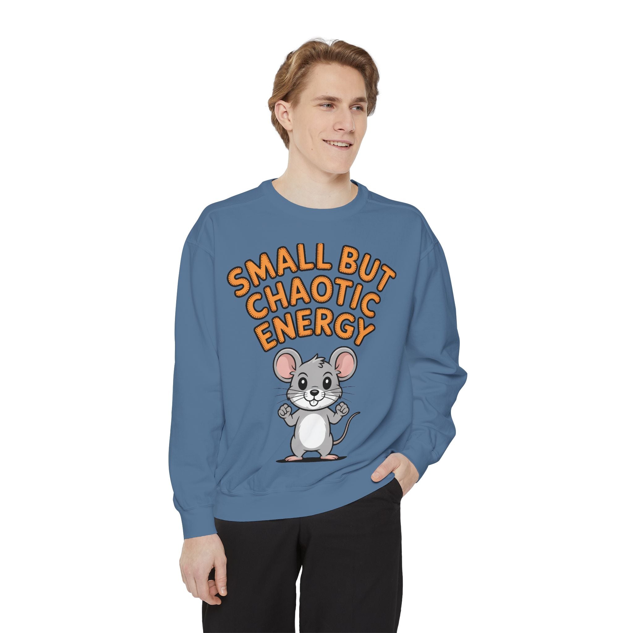 Small But Chaotic Energy Sweatshirt, Funny Mouse Crewneck, Cute Cartoon Mouse Sweatshirt, Embroidered Patch Style Gift