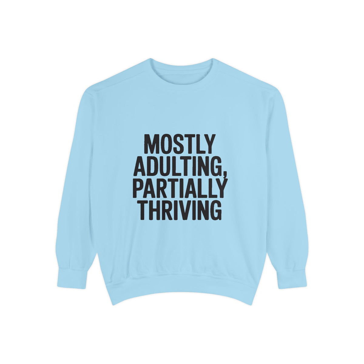 Mostly Adulting Partially Thriving Sweatshirt, Funny Embroidered Crewneck, Sarcastic Adult Life Sweatshirt, Trendy Minimalist Gift