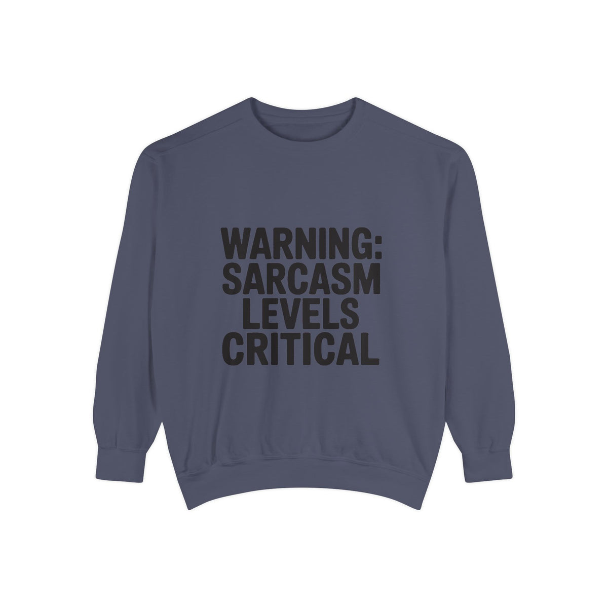 Warning Sarcasm Levels Critical Sweatshirt, Funny Embroidered Crewneck, Sarcastic Quote Pullover, Gift for Sarcastic Friend