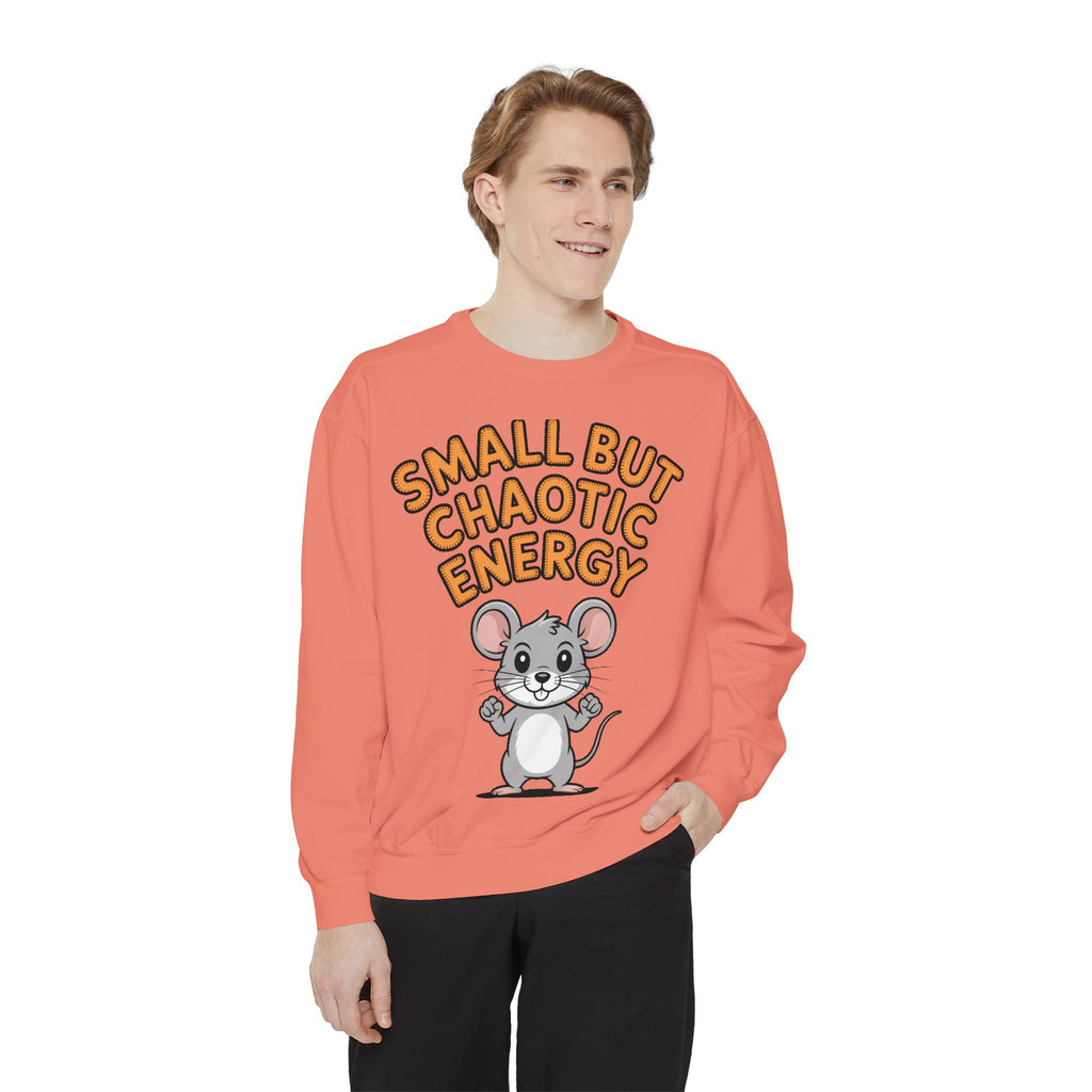 Small But Chaotic Energy Sweatshirt, Funny Mouse Crewneck, Cute Cartoon Mouse Sweatshirt, Embroidered Patch Style Gift