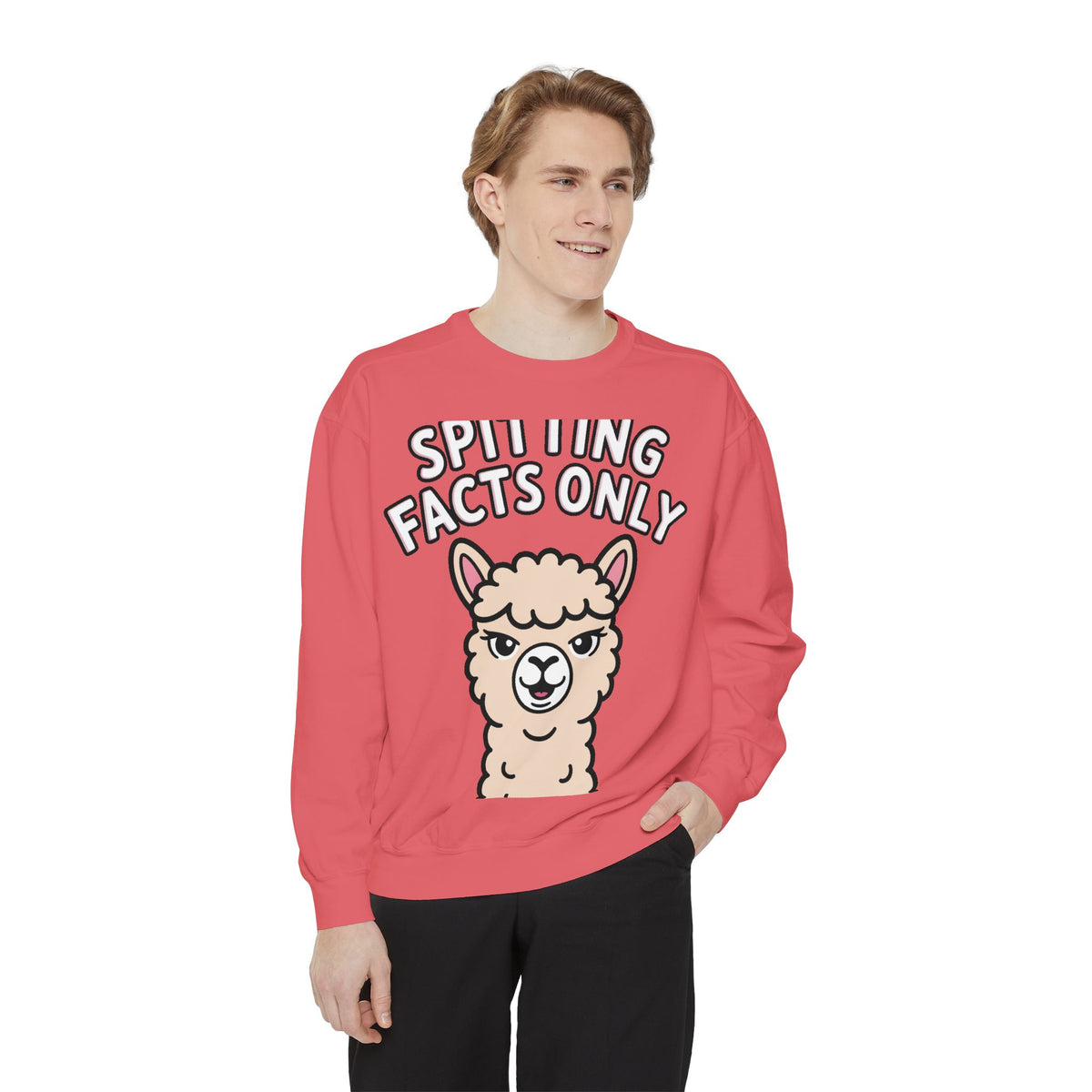 Alpaca Spitting Facts Sweatshirt, Funny Sassy Alpaca Crewneck, Cute Embroidered-Style Animal Sweatshirt, Alpaca Lover Gift