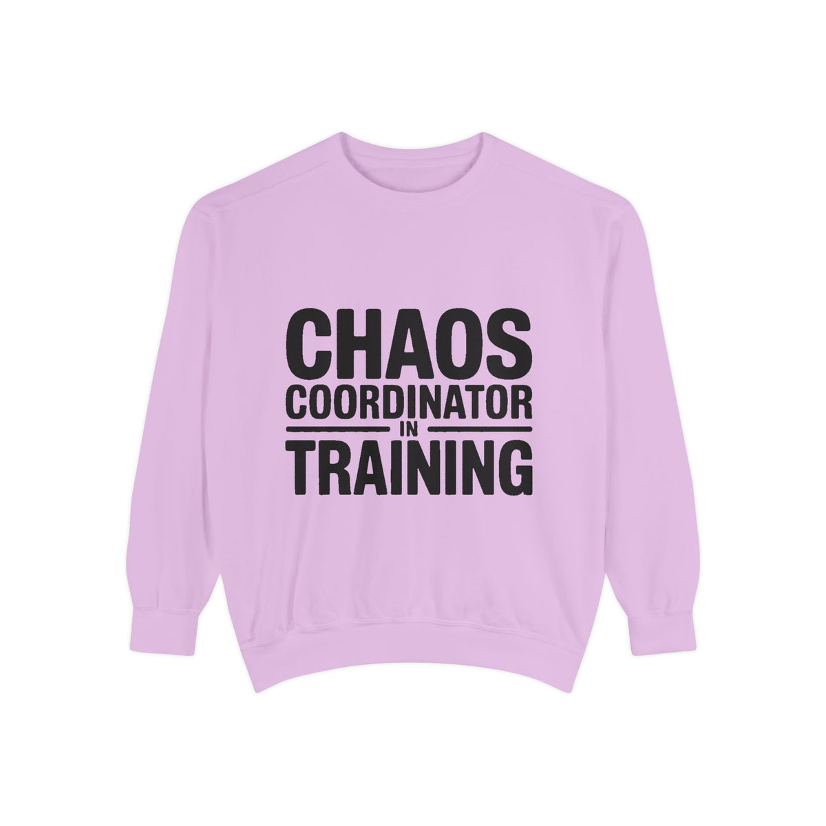 Chaos Coordinator In Training Sweatshirt, Funny Mom Crewneck, Embroidered Style Bold Text Sweatshirt, Teacher Nurse Gift