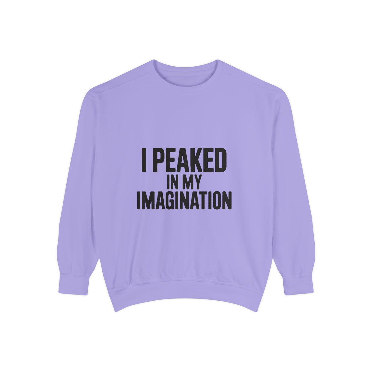 I Peaked In My Imagination Sweatshirt, Funny Sarcastic Crewneck, Bold Typography Embroidered Sweatshirt, Daydreamer Gift