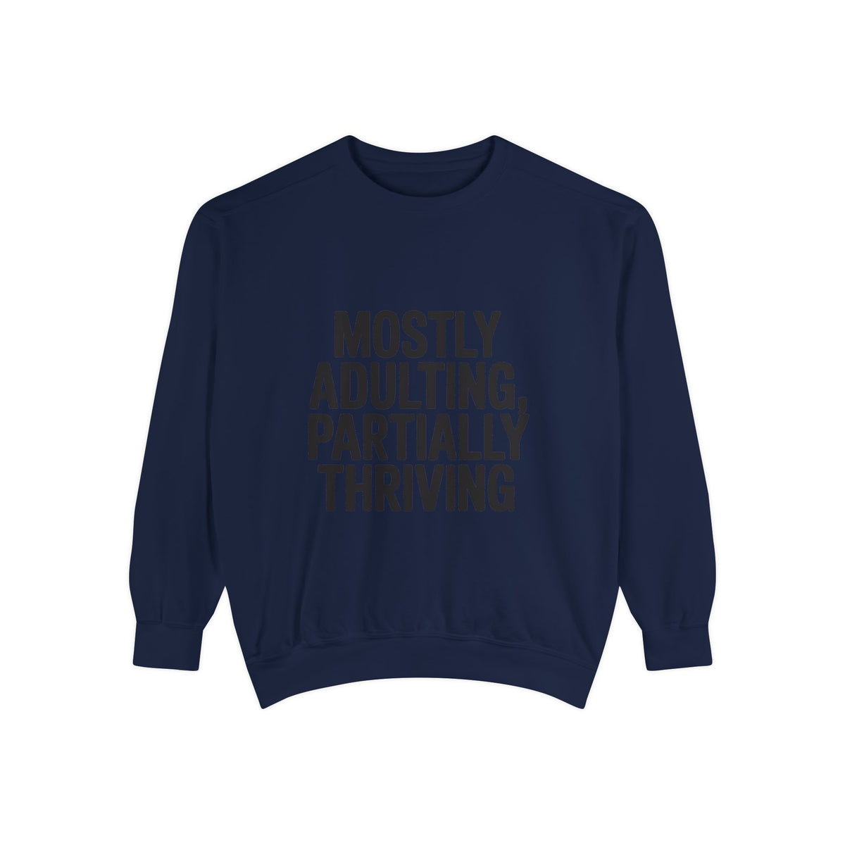 Mostly Adulting Partially Thriving Sweatshirt, Funny Embroidered Crewneck, Sarcastic Adult Life Sweatshirt, Trendy Minimalist Gift