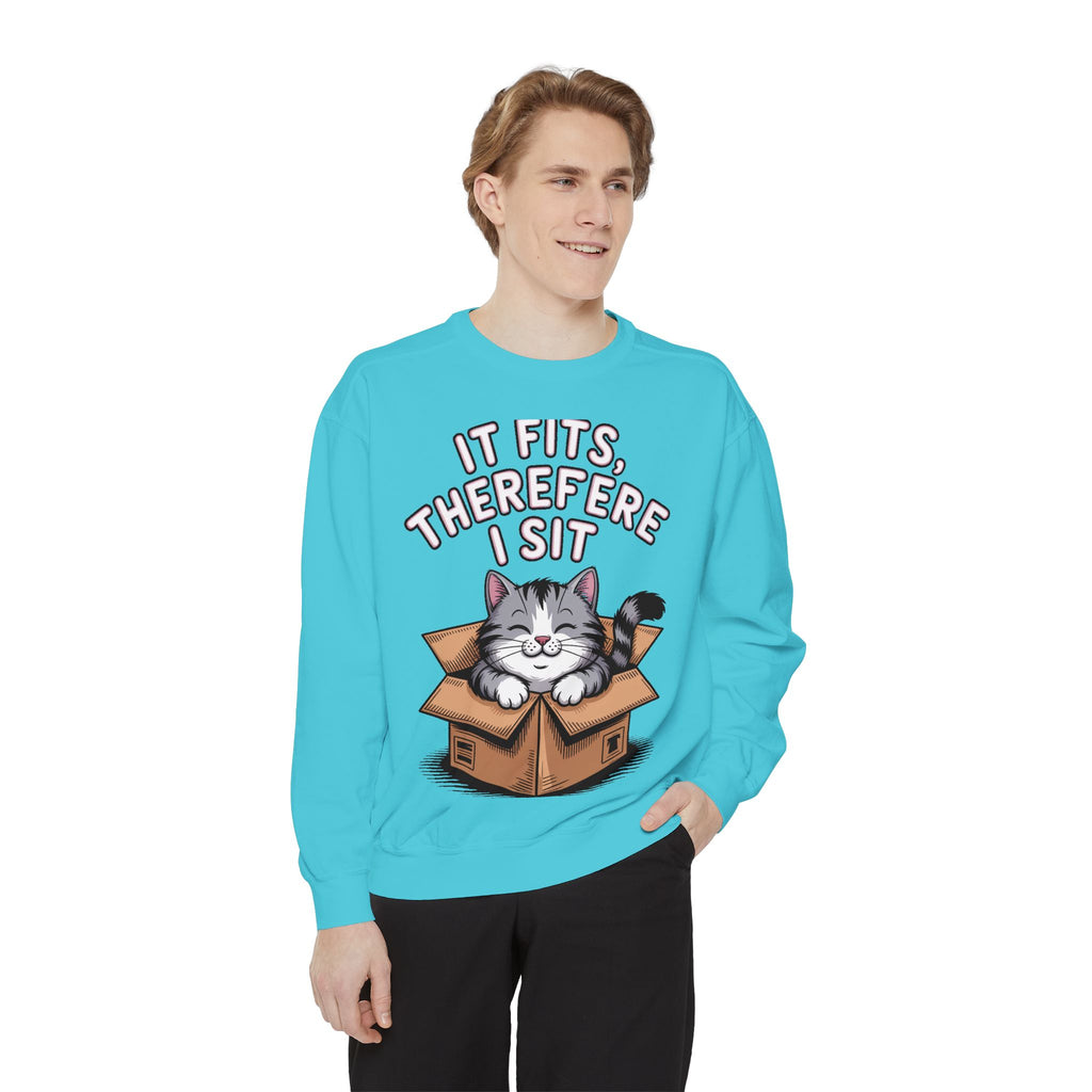 Funny Cat Sweatshirt, It Fits Therefore I Sit Crewneck, Cat In Box Embroidered Sweatshirt, Cat Lover Gift, Funny Cat Lover Sweater