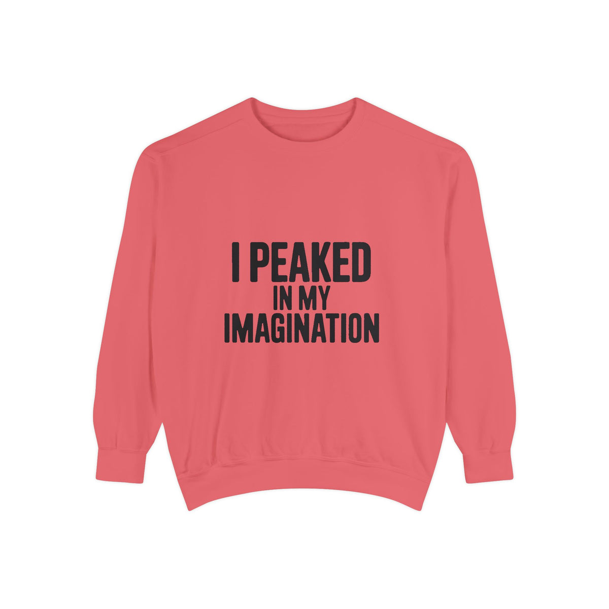 I Peaked In My Imagination Sweatshirt, Funny Sarcastic Crewneck, Bold Typography Embroidered Sweatshirt, Daydreamer Gift